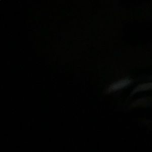 Meet your Posher, Logan